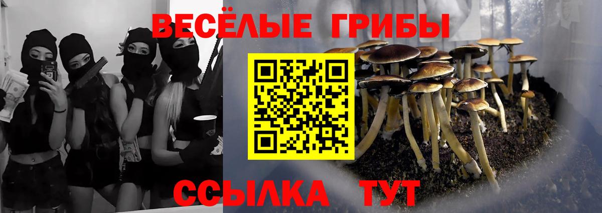 Псилоцибиновые грибы Psilocybe  Вход с VPN  Рузаевка 